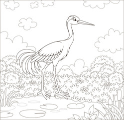 Red-crowned crane bird by a small lake among cane, grass and flowers of a meadow on a summer day, black and white vector illustration in a cartoon style