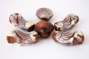 Chocolate candies in the shape of shells lie on the table. Chocolate shells of different shapes.