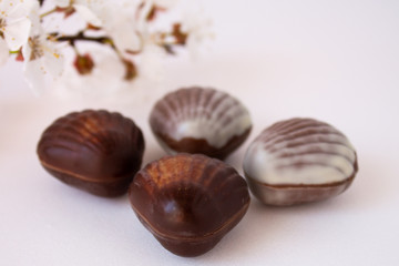 Chocolate candies in the shape of shells lie on the table. Chocolate shells of different shapes.