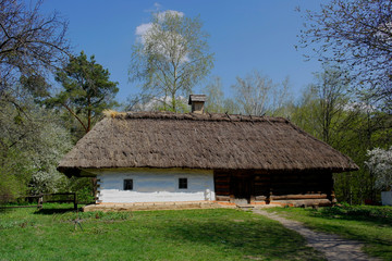 Plakat Old ukrainian house.Ukrainian hut of the nineteenth century. Spring landscape, blooming trees.Pirogovo village.