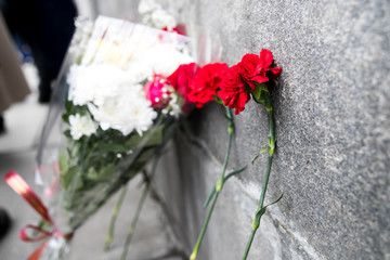 Red carnations flowers seen on the memorial stone
