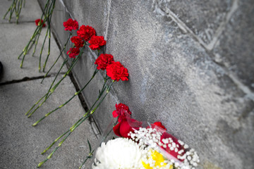 Red carnations flowers seen on the memorial stone