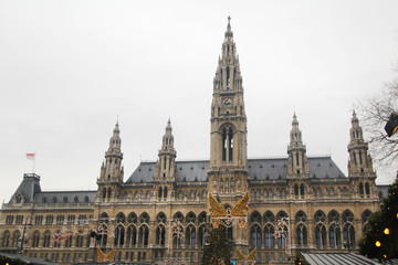 Fototapeta na wymiar Vienna City Hall, Austria