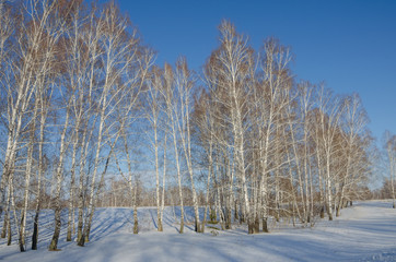 panorama of the winter landscape in central siberia