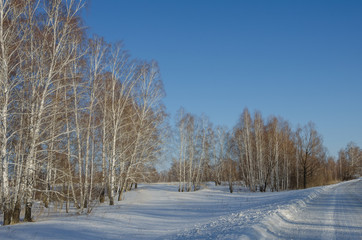 panorama of the winter landscape in central siberia