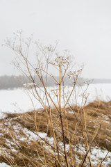 Fototapeta na wymiar spring landscape in Siberia on the river