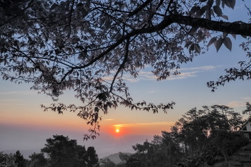 Kew Lom View Point, view silhouette of tree branches with vivid red and blue sky background, sunrise at Huai Nam Dang National Park, Chiang Mai, northern of Thailand.