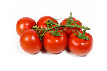 Cherry Tomatoes on white isolated background