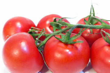 Close-up Cherry Tomatoes on white isolated background