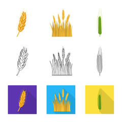 Isolated object of agriculture and farming icon. Set of agriculture and plant  vector icon for stock.