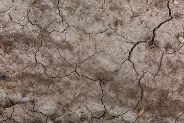 Cracked dry soil