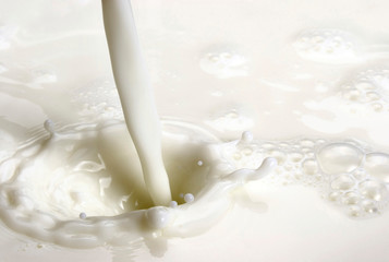 Fototapeta na wymiar Pouring Milk, Splashing Milk, Close-up Background