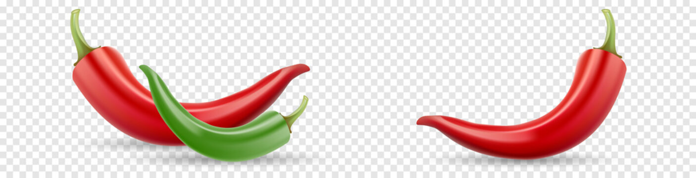 Red and green pepper. Red hot chili pepper. Vector illustration on transparent background