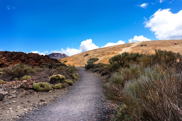 Hiking trail  National Park Teide volcano