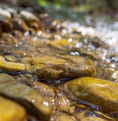 Stones in the mountain river in the spring