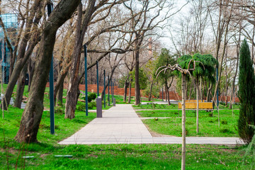 Obraz premium Park path