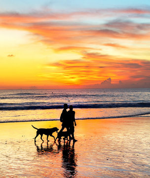 couple walking dogs, sunset Bali
