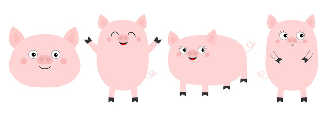 Pig piglet set line. Cute cartoon funny baby character. Hog swine sow animal. Chinise symbol of 2019 new year. Zodiac sign. Flat design. White background. Isolated.