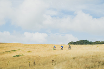 Mountain bikers ride together across English hill