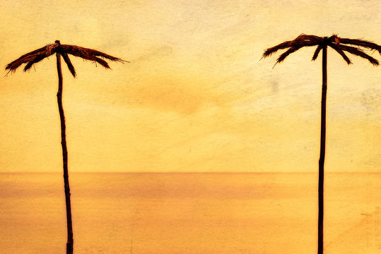 Two palm trees on the background of the sea, yellow golden toning