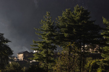 Fototapete bei efototapeten.de bestellen   