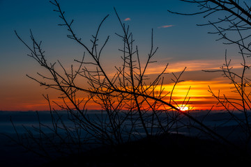 twilight landscape over the sunset background and silhouette tree branch foreground subject