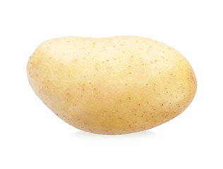 potato isolated on white background