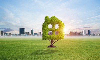 Green plant in shape of house grows at green field