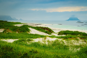 Sea coast grassy dunes Andoya Norway
