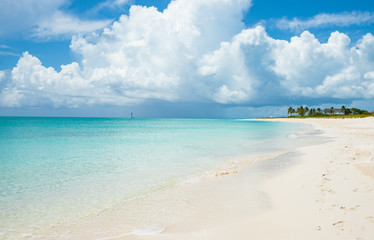 Tropical beach scene