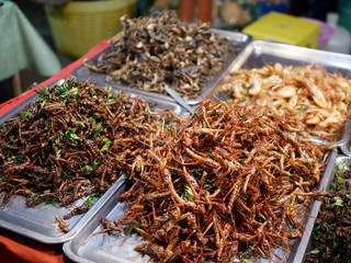 Appetizers, street food, fried insects