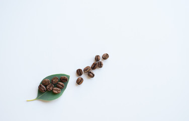 Fototapeta na wymiar Coffee beans on a green leaf.