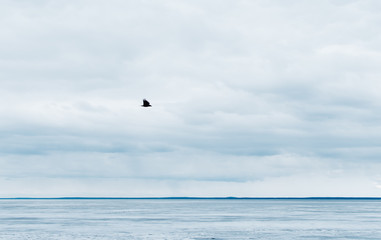 Melting ice on the sea and cloudy sky.