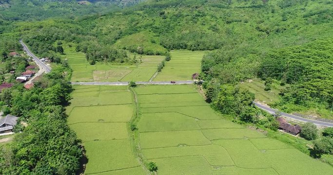 wonderful green nature around geopark ciletuh