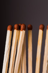Row of match sticks