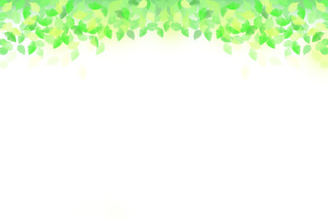 緑の葉　水玉,バブル,光のバックグラウンド