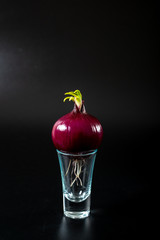 Red onions in a glass on a black background