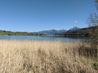 Fototapeta na wymiar Panoramic view of the lake 
