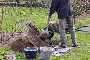 Man wears work outfit. Gardener prepare earth for new flowers and trees. He sifting soil through...