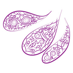 paisley ornament. Print turkish cucumber. Hand-drawn pattern for textiles.