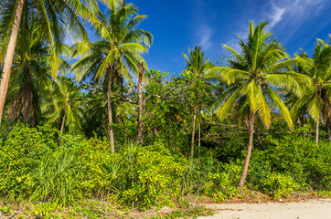 Fototapeta na wymiar Nagtabon Beach on Palawan Island
