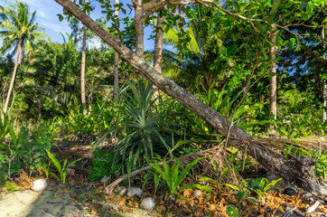 Nagtabon Beach on Palawan Island