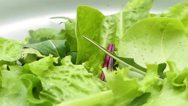 Close up of a salad in the bowl