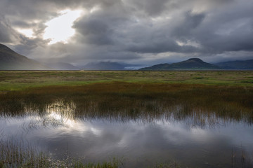 Wetlands in Hoffell area in southeastern Iceland