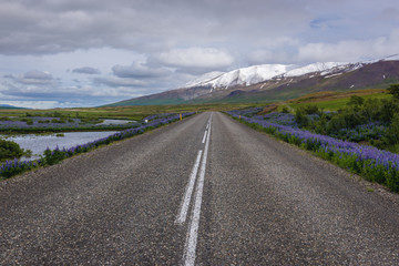 Empty road number 95 near Egilsstadir city, Iceland