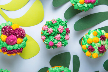 Multicolored cupcakes with decoration like indoor plants succulents