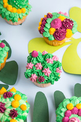 Multicolored cupcakes with decoration like indoor plants succulents