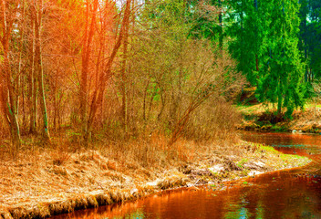 Nature of Latvia, wood and river