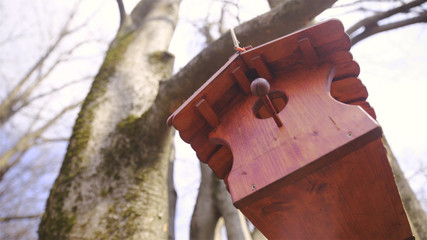 Bird house hang from a tree low angle view