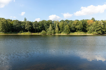 lake in germany with trees and reflection in water